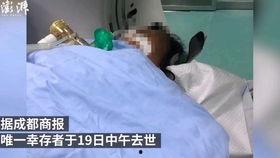 新闻爆料中毒事件视频,视频揭露惊人真相，警方紧急介入调查  第1张